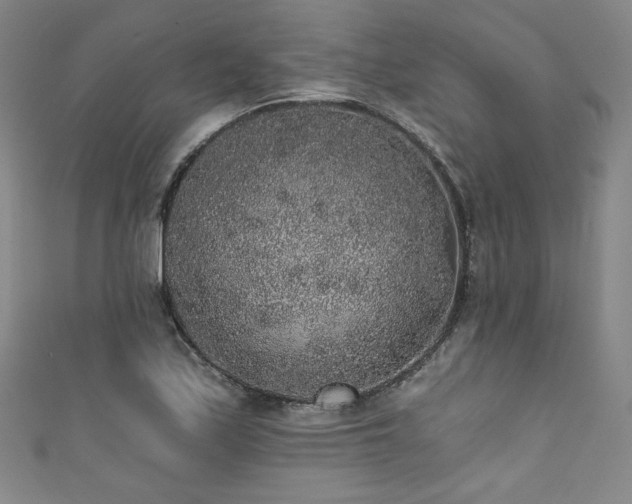 X0000111831171200907231311