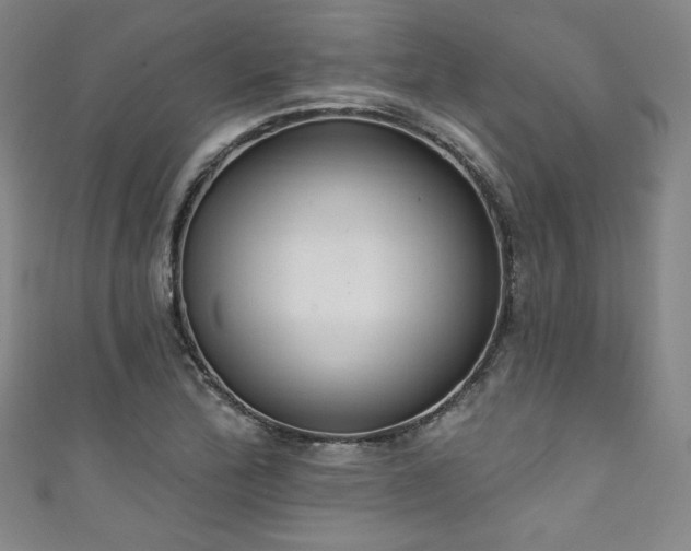 X0000111831172200907231311