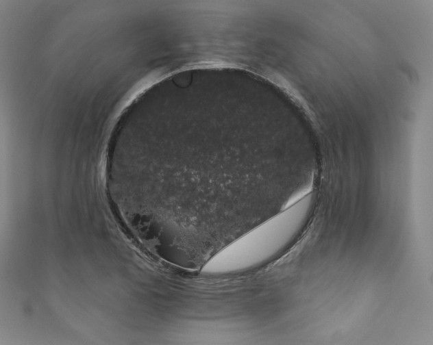 X0000111831173200907231311