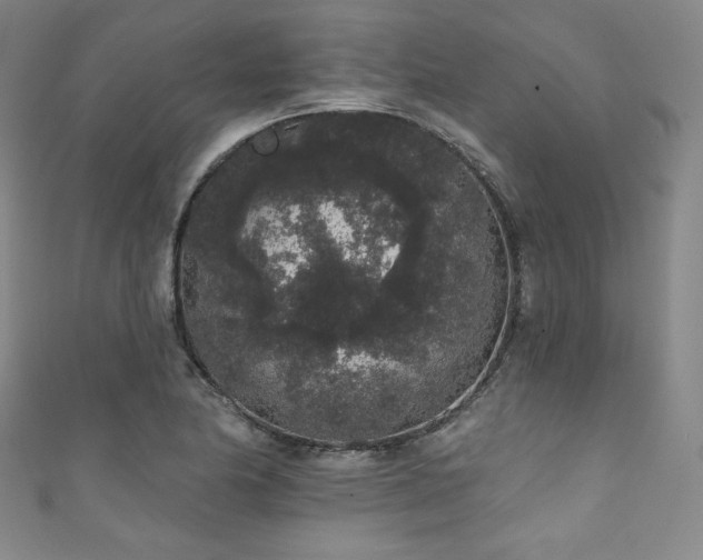 X0000111831174200907231311