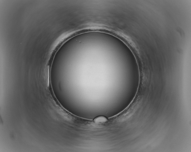 X0000111831175200907231311