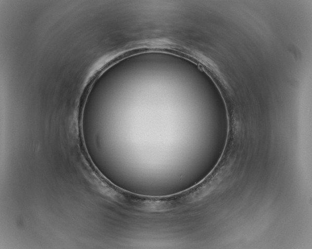 X0000111831176200907231311