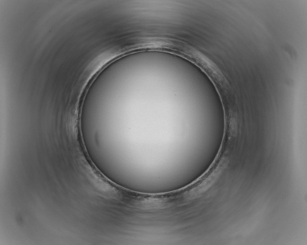 X0000111831178200907231311