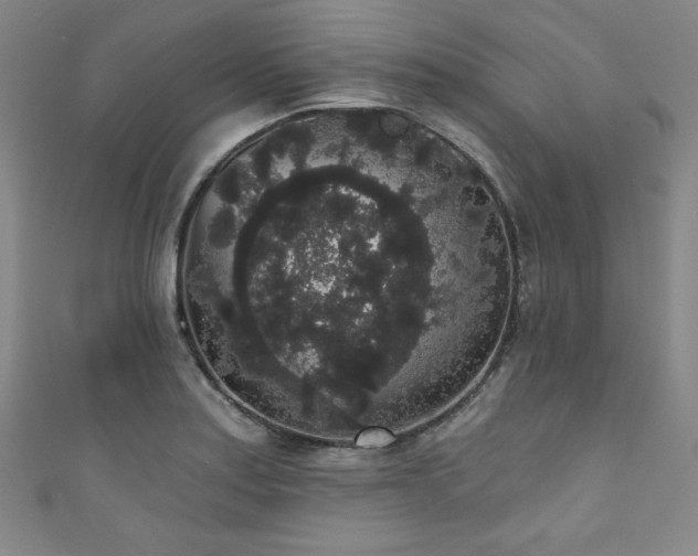 X0000111831179200907231311