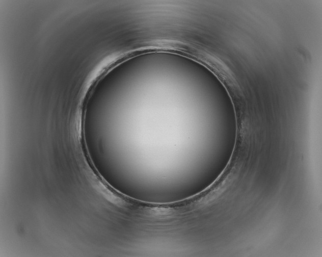 X0000111831180200907231311