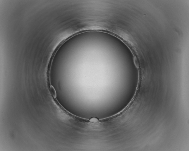 X0000111831181200907231311