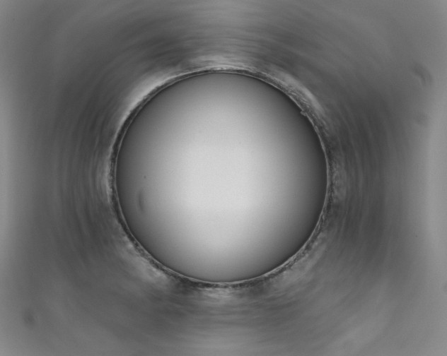X0000111831182200907231311