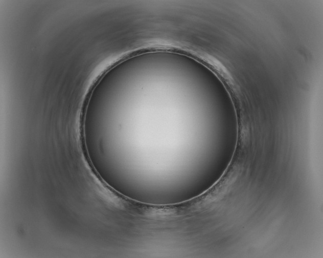 X0000111831183200907231310