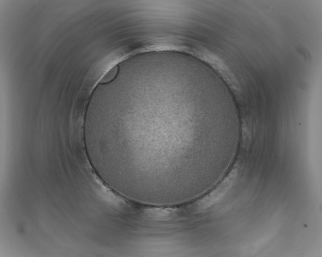 X0000111831185200907231310
