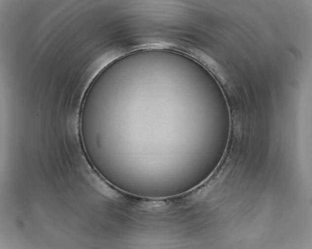 X0000111831186200907231310
