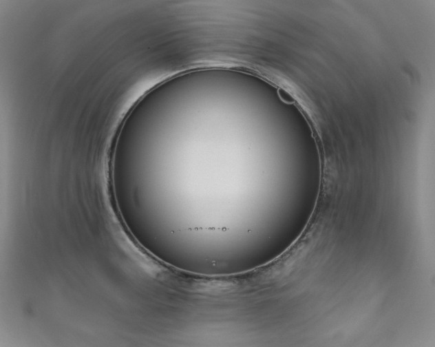 X0000111831187200907231310