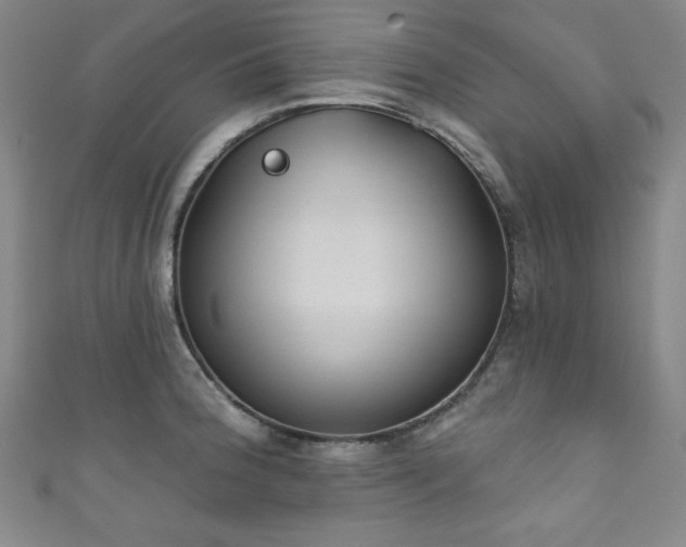 X0000111831188200907231310