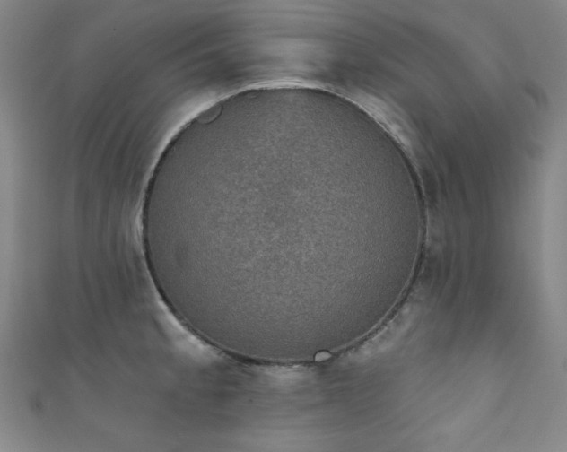 X0000111831189200907231310
