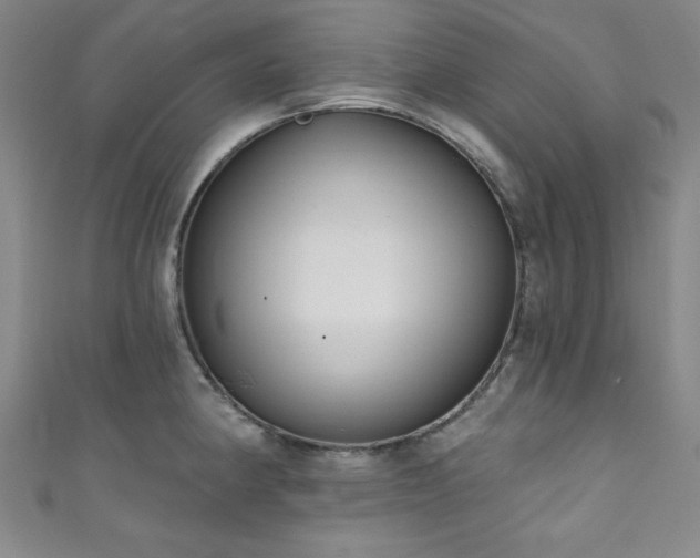 X0000111831190200907231310