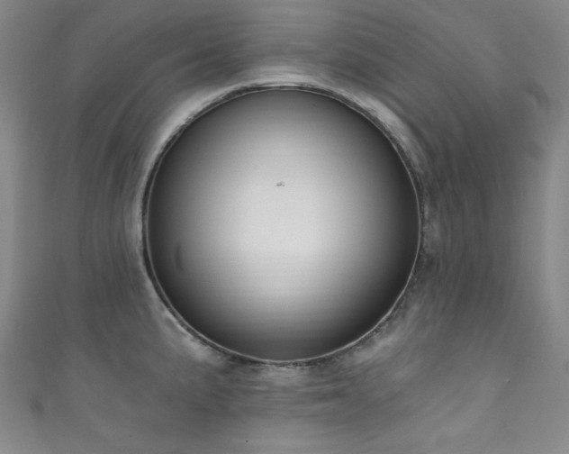 X0000111831191200907231310