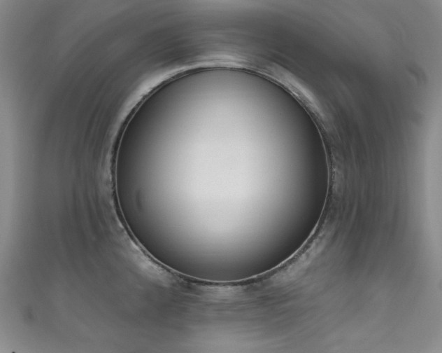 X0000111831192200907231310