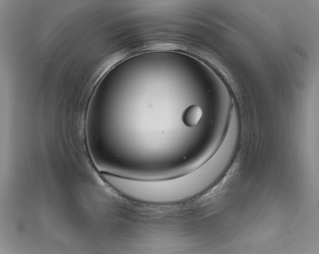X0000111831193200907231310