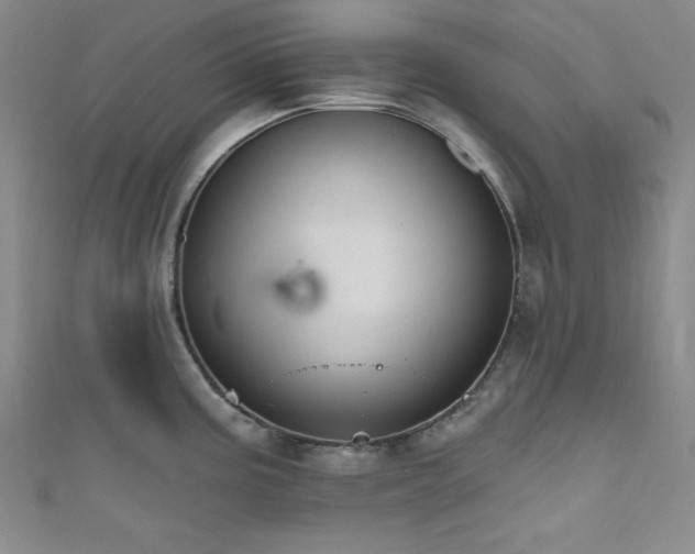 X0000111831195200907231310