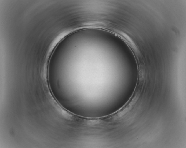 X0000111831196200907231310