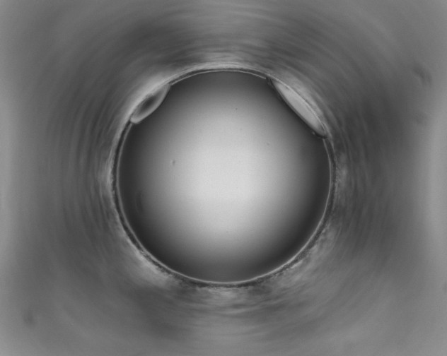 X0000111831197200907231310