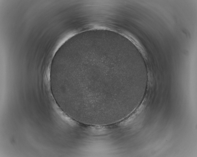 X0000111831198200907231310