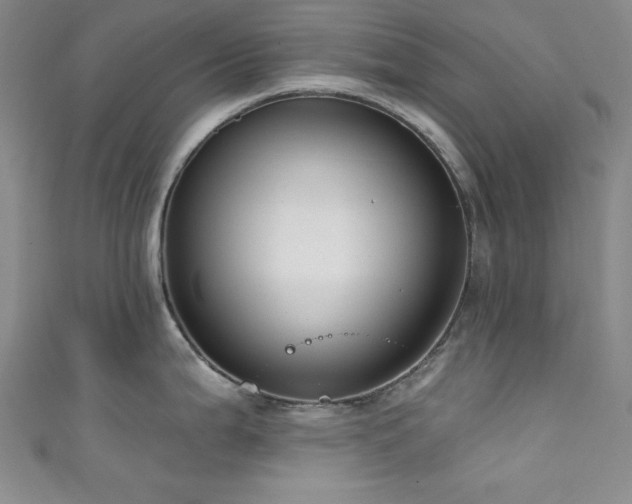 X0000111831199200907231310