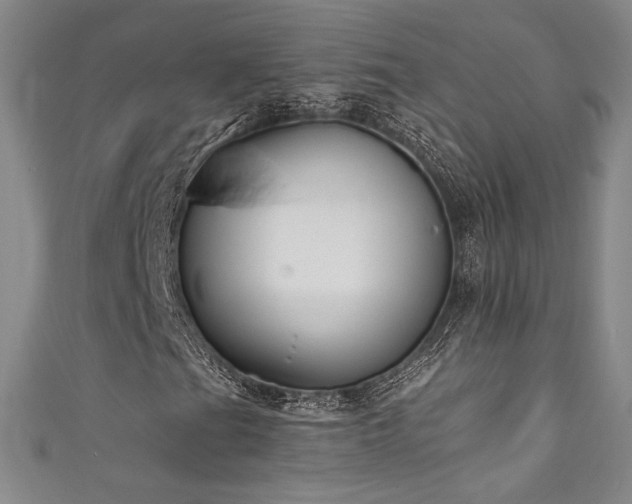 X0000111831201200907231309