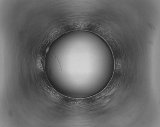 X0000111831202200907231309
