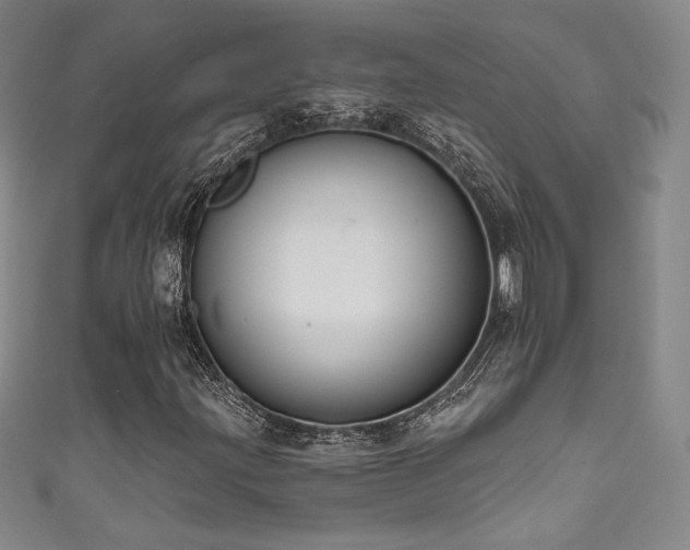 X0000111831203200907231309