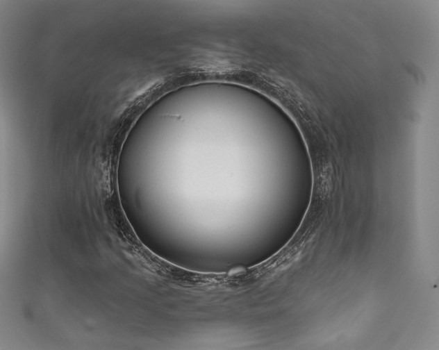 X0000111831205200907231310