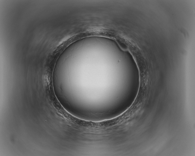 X0000111831206200907231310