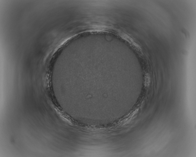 X0000111831208200907231310