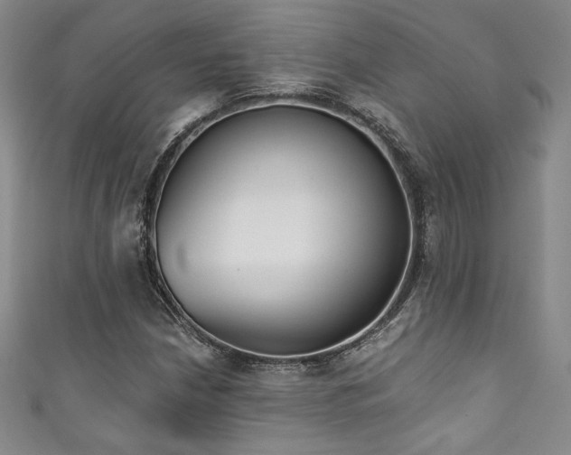 X0000111831210200907231310