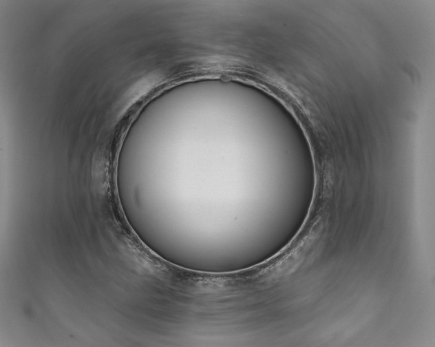 X0000111831211200907231310