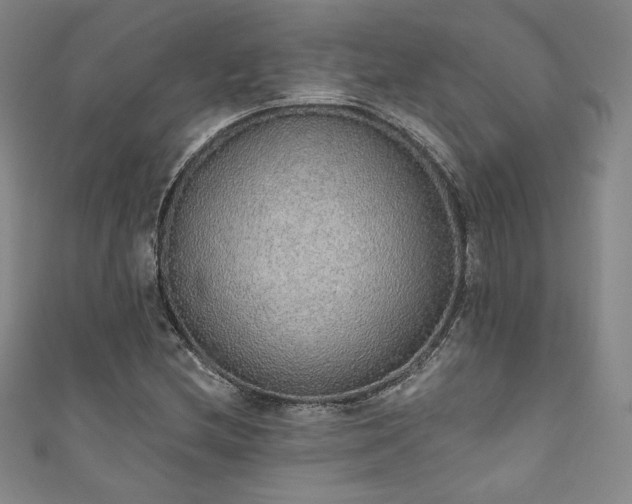 X0000111831212200907231310