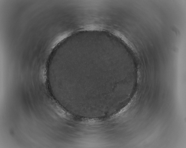 X0000111831213200907231310