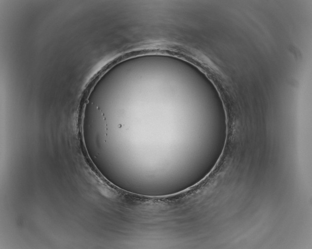 X0000111831216200907231310