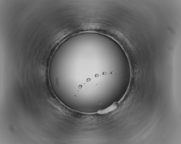 X0000111831217200907231310