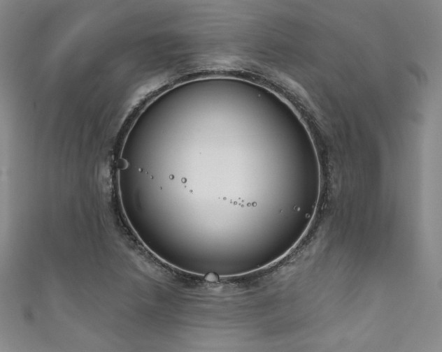X0000111831218200907231310