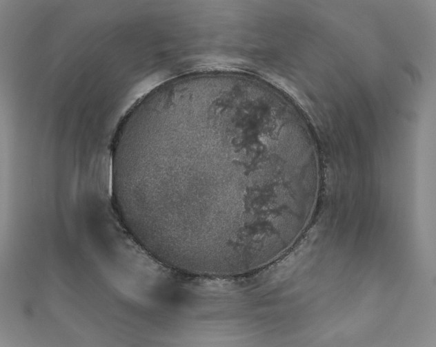 X0000111831219200907231310