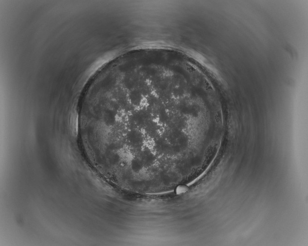 X0000111831221200907231310