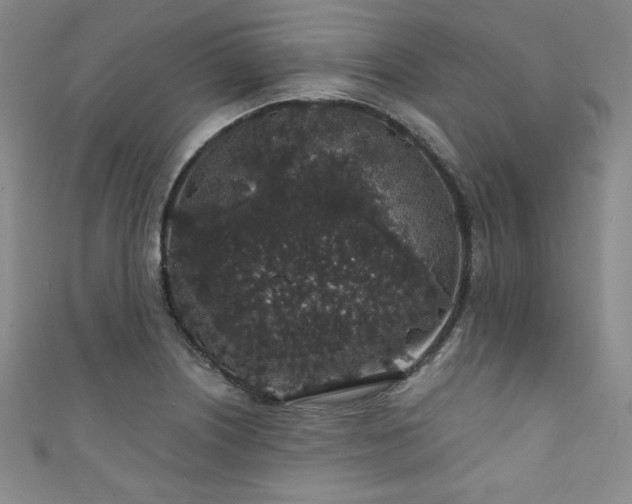 X0000111831226200907231310