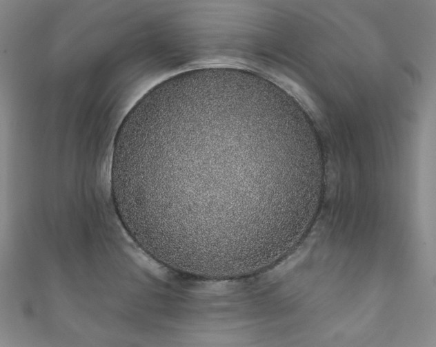 X0000111831228200907231310