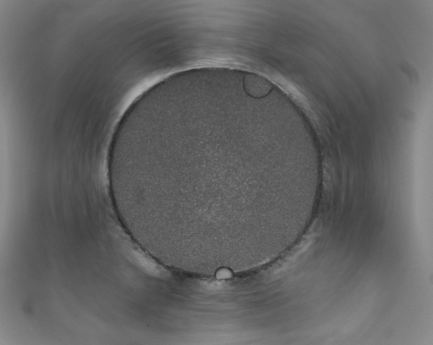 X0000111831230200907231310