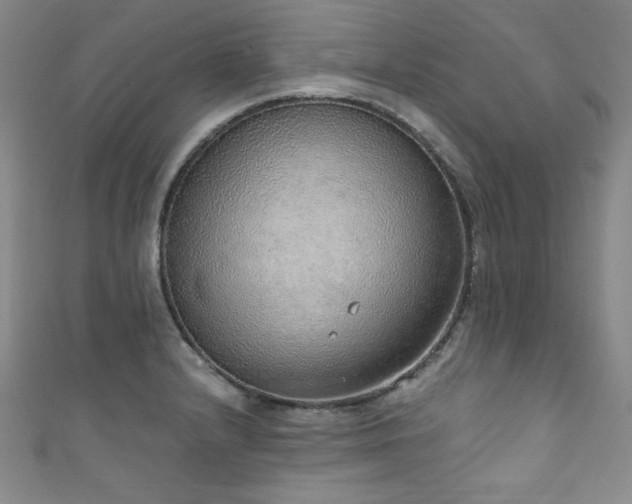 X0000111831232200907231310