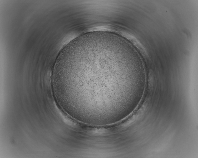 X0000111831233200907231310