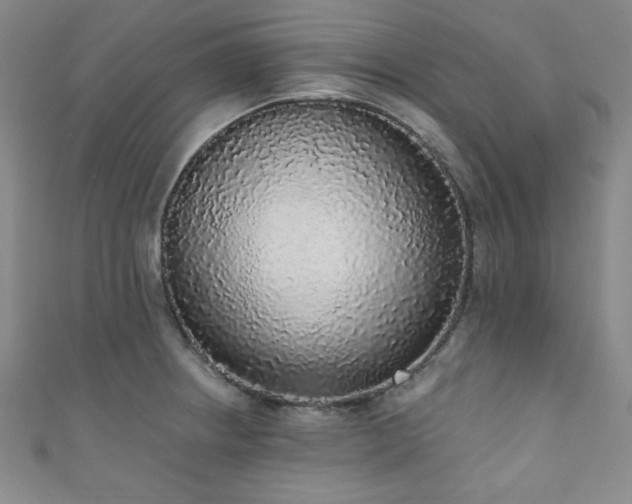 X0000111831234200907231310