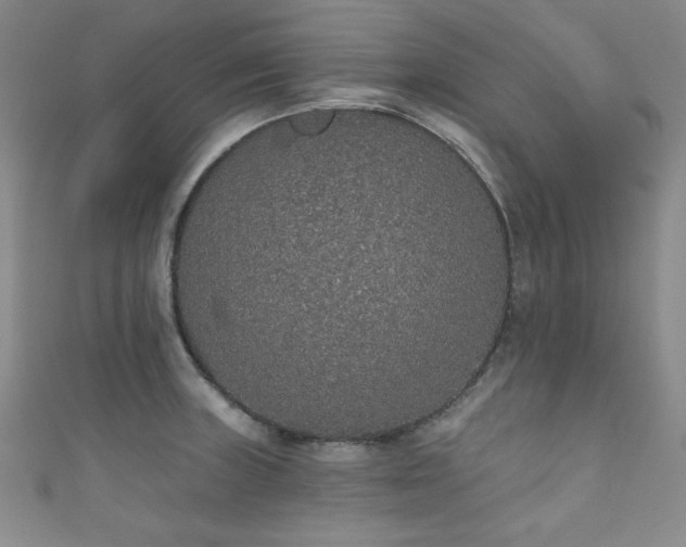 X0000111831235200907231310