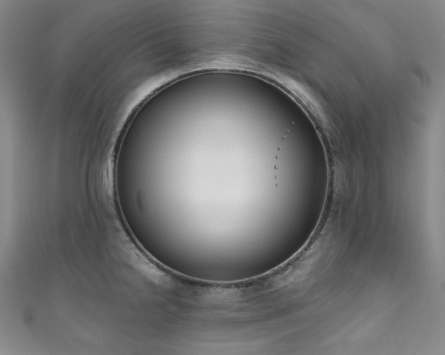 X0000111831238200907231310