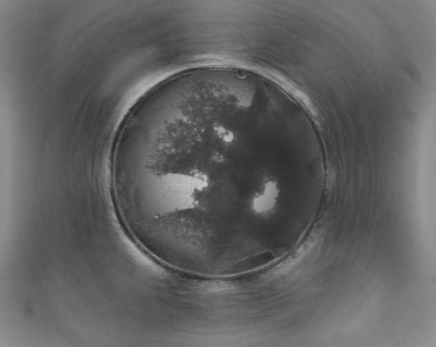 X0000111831239200907231310